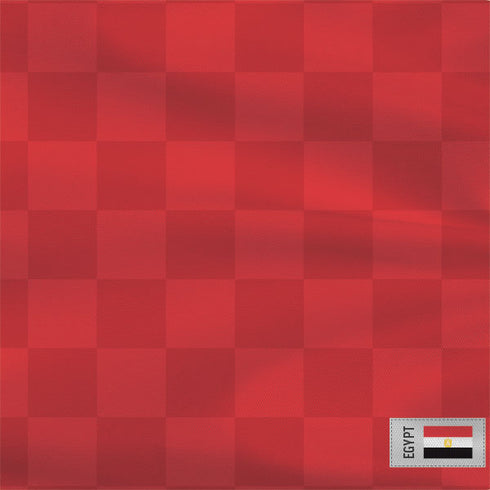 Egypt Soccer Flag Wii Remote Controller Skin